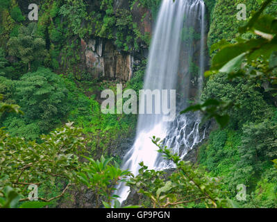 The image of Thoseghar waterfall in Satara, Maharashtra, western ghats, monsoon, India Stock Photo