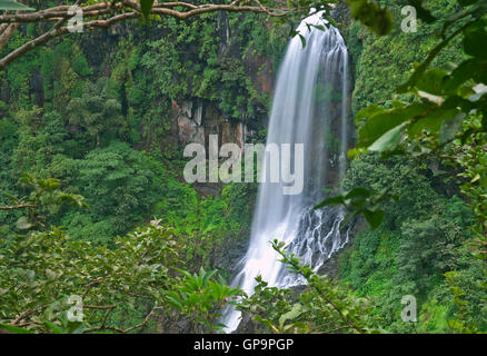 The image of Thoseghar waterfall in Satara, Maharashtra, western ghats, monsoon, India Stock Photo