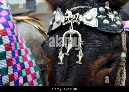 Silver ornament - Horse race - Fiestas de la Virgen del Carmen and Fiestas Patrias ( Independence Day ) in Sapalache ' .-  Peru Stock Photo