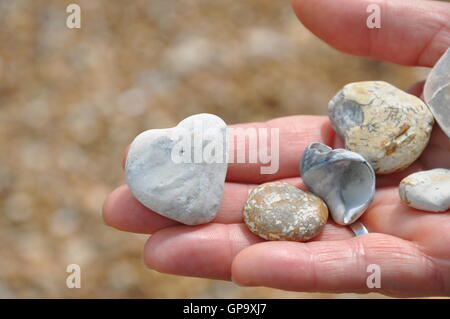 heart pebble on hand Stock Photo