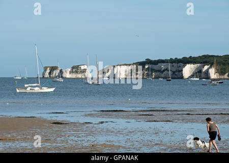 Looking out towards Old Harry Rocks from Middle Beach and Knoll Beach, Studland Bay, Dorset, England Stock Photo