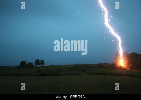 A bolt of lightning striking a tree in a field Stock Photo