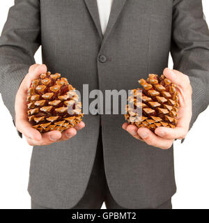 Man in grey suit is holding two pine cones Stock Photo