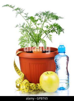Download Carrot In Plastic Pot Stock Photo Alamy Yellowimages Mockups