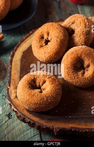 Homemade Sugared Apple Cider Donuts with Cinnamon Stock Photo