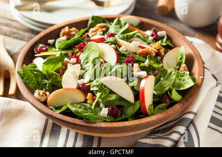 Homemade Autumn Apple Walnut Spinach Salad with Cheese and Cranberries Stock Photo