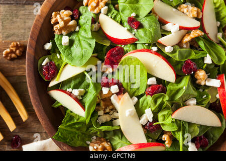 Homemade Autumn Apple Walnut Spinach Salad with Cheese and Cranberries Stock Photo