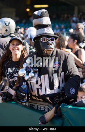 October 25, 2009; Oakland, CA, USA;  An Oakland Raiders fan during the first quarter against the New York Jets at Oakland-Alameda County Coliseum. New York won 38-0. Stock Photo