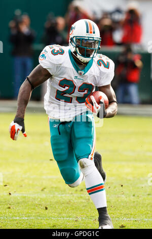 November 28, 2010; Oakland, CA, USA;  Miami Dolphins running back Ronnie Brown (23) rushes up field after a pass reception against the Oakland Raiders during the first quarter at Oakland-Alameda County Coliseum. Stock Photo