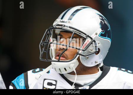 December 5, 2010; Seattle, WA, USA;  Carolina Panthers wide receiver Steve Smith (89) enters the field before the game against the Seattle Seahawks at Qwest Field. Stock Photo