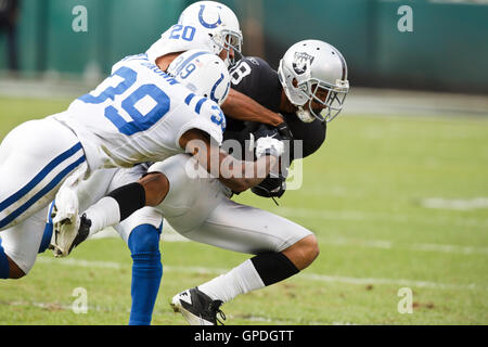 Oakland Raiders Game Day Magazine Dec 26, 2010 Vs Indianapolis Colts