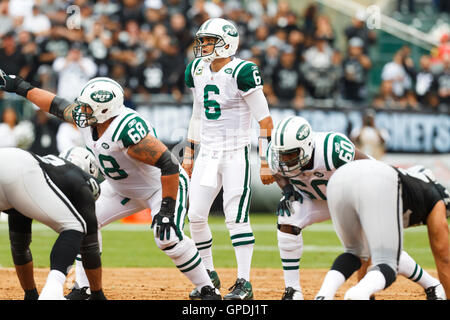 Sep 25, 2011; Oakland, CA, USA; New York Jets quarterback Mark Brunell (8)  warms up before the game against the Oakland Raiders at O.co Coliseum.  Oakland defeated New York 34-24 Stock Photo - Alamy