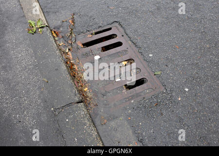 Drains blocked by leaves and mud and not cleaned out Stock Photo - Alamy