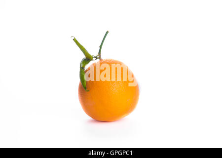 Lonely orange isolated on white background Stock Photo