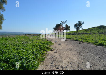 Gath, Tel Zafit, Gath of the Philistines, Israel Stock Photo