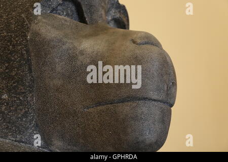Antique sculpture of a monkey in the Capitoline museums in Rome Stock ...