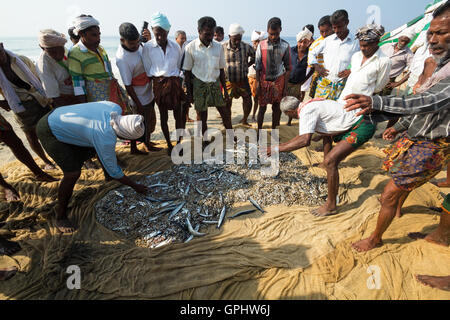 Fishermen catching fishes in their the traditional way. A morning view from Vizhinjam Beach, Kerala,India Stock Photo