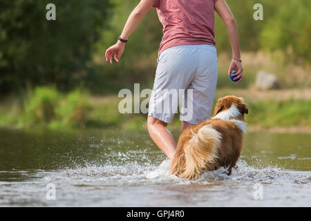 woman plays with her Australian Shepherd dog in the water Stock Photo