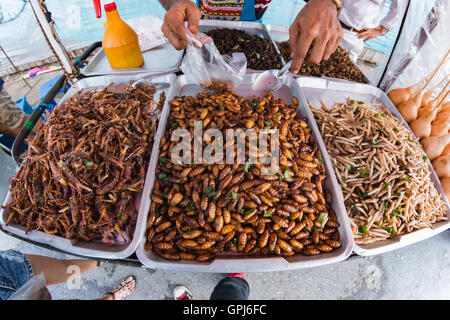 Fried insects, Bugs fried on Street food in thailand Stock Photo