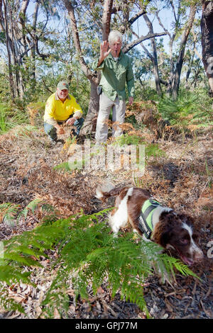 Dog trainer, Steve Austin and NSW Parks & Wildlife Ranger, Russell Wall with feral animal detection dog, Bolt. Black Rock Nation Stock Photo