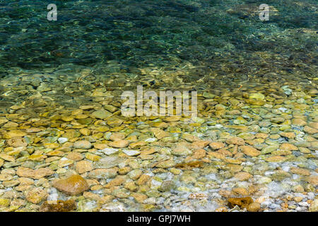Sea water and pebbles a green natural background texture, reflecting in the sun, select focus with deep depth of field Stock Photo