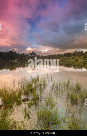Howse Tarn Hows Tarn, Lake District, Sunset set Stock Photo - Alamy