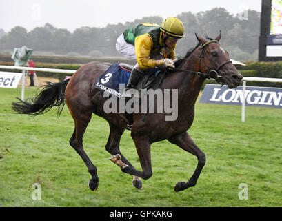 Iffezheim, Germany. 4th Sep, 2016. Jockey Ian Ferguson and his horse Iquitos winning the 144th Grand Prix of Baden at the 'Grosse Woche' equestrian event at the gallop race track in Iffezheim, Germany, 4 September 2016. PHOTO: ULI DECK/dpa/Alamy Live News Stock Photo