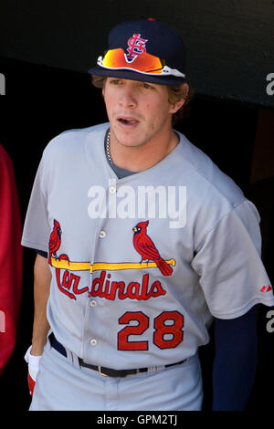 The Saddest Snowcone: Cardinals CF Jon Jay Makes A Great Attempt