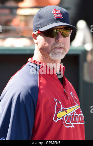 April 25, 2010; San Francisco, CA, USA;  St. Louis Cardinals batting coach Mark McGwire (25) during the seventh inning against the San Francisco Giants at AT&T Park.  St. Louis defeated San Francisco 2-0. Stock Photo