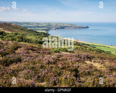 Robin Hoods Bay Yorkshire seen from North York Moors National Park at Heather time Stock Photo