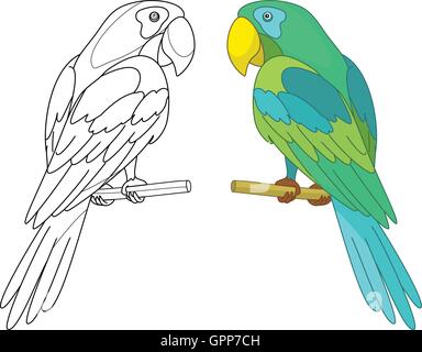 Bird parrot on a perch Stock Vector