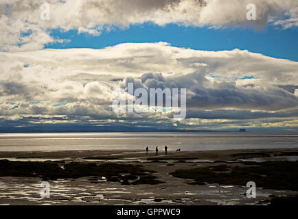 People - and dog - walking on the mud-flats of Morecame Bay, near Ulverston, Cumbria, England UK Stock Photo