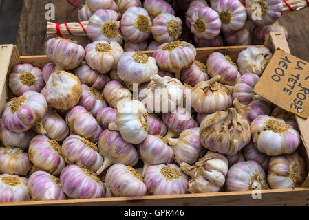 Garlic bulbs Stock Photo