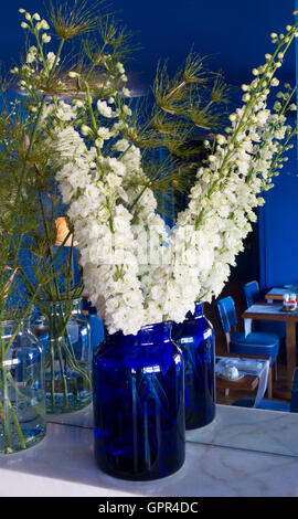 Blue delphiniums in white vase on plain white background Stock Photo ...