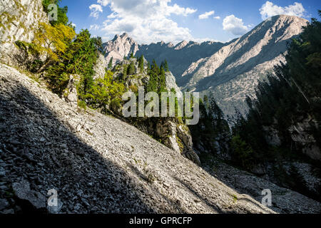 Composite mountain image. Canyon with spruce trees in mountains with rocky peaks Stock Photo