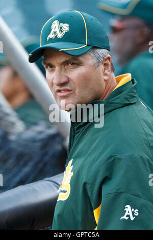 San Francisco Giants manager Bob Melvin pauses in the dugout prior to a ...