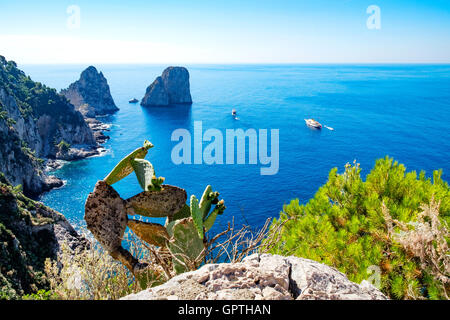 faraglioni rocks viewed from Augustus gardens on the island of Capri,Italy Stock Photo