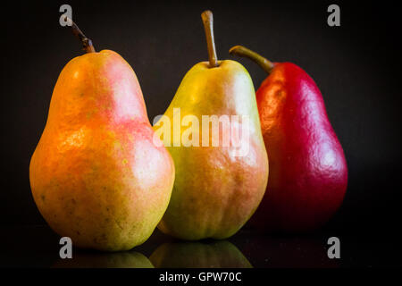 A collection of three different varieties of pears against a black background. Stock Photo