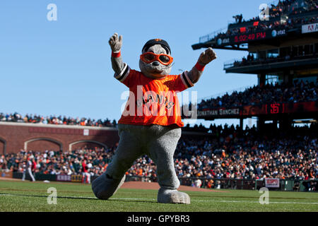 LOU SEAL PREDICTS HOME RUN!! Giants mascot Lou Seal cheers BEFORE