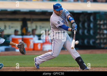 Kansas city royals baseball hi-res stock photography and images - Page 25 -  Alamy