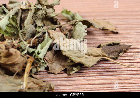 Heap of healthy dried lemon balm on wooden board, sedative herbs, concept for healthy nutrition and herbalism Stock Photo