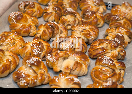CINNAMON BUNS freshly baked from the oven Stock Photo