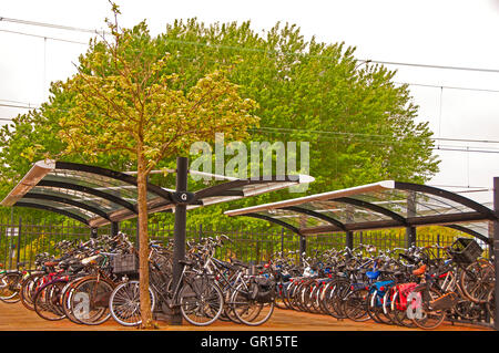 A typical morning scene at a Railroad Station that is crammed with commuter bicycles in Amsterdam, Holland Stock Photo