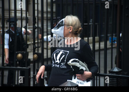 London UK. 5th September 2016. A woman demonstrates at Downing Street standing with a mask to protest against the cull. Credit: Alberto Pezzali/Alamy Live News Stock Photo