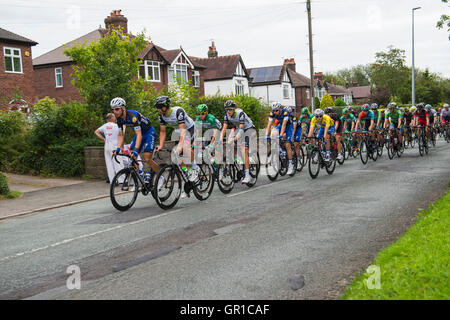 Alsager, Cheshire, UK. 6th September, 2016. Tour of Britain – Stage 3 – Sprint Stage 1 - Alsager, Cheshire – 06/09/2016 Credit:  JONATHAN AYRES/Alamy Live News Stock Photo