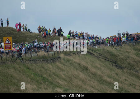 Cheshire, UK. 6th September, 2016. The peloton passing between appreciative crowds during the climb to the Cat and Fiddle. Credit:  Pat Bennett/Alamy Live News Stock Photo