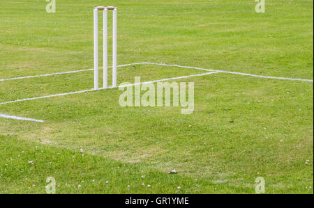 Traditional cricket pitch taken in the summer.  Wickets on the left, with copy space to the right Stock Photo