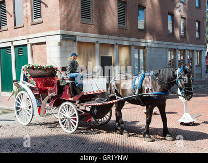 Horse carriage in Boston Stock Photo