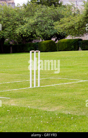 Traditional cricket pitch taken in the summer Stock Photo