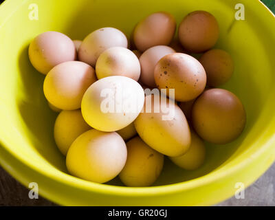 Fresh Organic Brown Chicken Eggs. A yellow bowl filled with various colours of brown chicken eggs. Stock Photo
